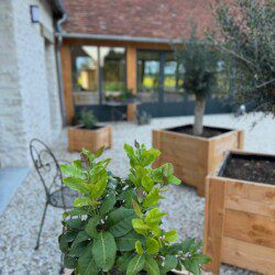 La suite "Le Monal", en duplex de 35m2, accueille confortablement un couple