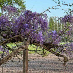 Les chambres d'hôtes Au détour des Châteaux  vous accueil dans un écrin naturel.