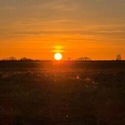 Les chambres d'hôtes Au détour des Châteaux  vous accueil dans un écrin naturel.