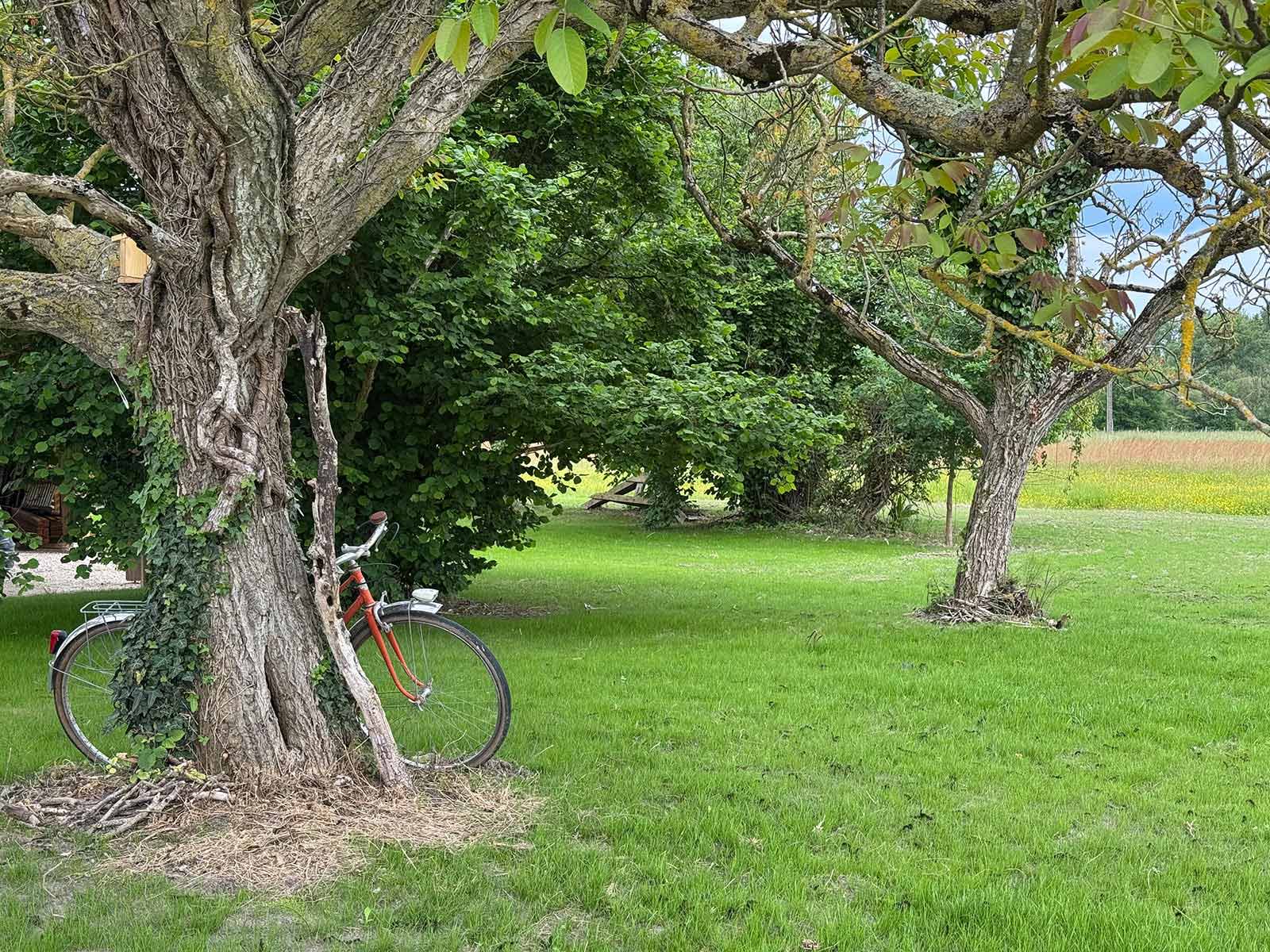 Les chambres d'hôtes Au détour des Châteaux vous accueil dans un écrin naturel.