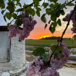 Les chambres d'hôtes Au détour des Châteaux : le choix d'une rénovation respectueuse de l’authenticité de l’architecture locale et de prestations tout confort.