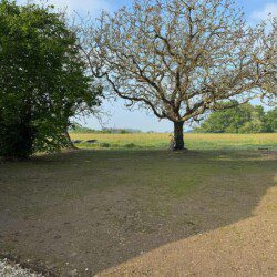 Les chambres d'hôtes Au détour des Châteaux  vous accueil dans un écrin naturel.