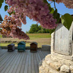 Les chambres d'hôtes Au détour des Châteaux vous offrent des prestations tout confort et de qualités dans un cocon de verdure.
