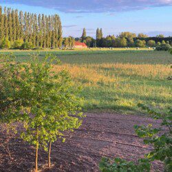 Les chambres d'hôtes Au détour des Châteaux vous accueille dans un confort moderne et élégant.
