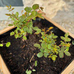Les chambres d'hôtes Au détour des Châteaux  vous accueil dans un écrin naturel.