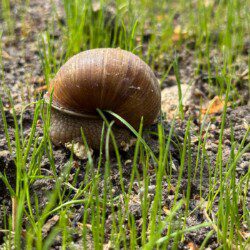 Les chambres d'hôtes Au détour des Châteaux  vous accueil dans un écrin naturel.