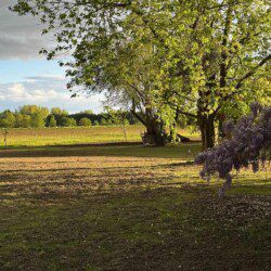 Les chambres d'hôtes Au détour des Châteaux  vous accueil dans un écrin naturel.