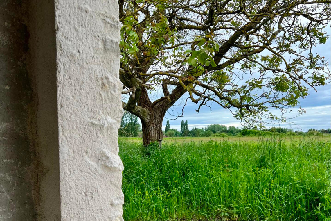 Les chambres d'hôtes Au détour des Châteaux vous offrent une vue imparable sur la nature...