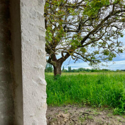 Les chambres d'hôtes Au détour des Châteaux vous offrent une vue imparable sur la nature...